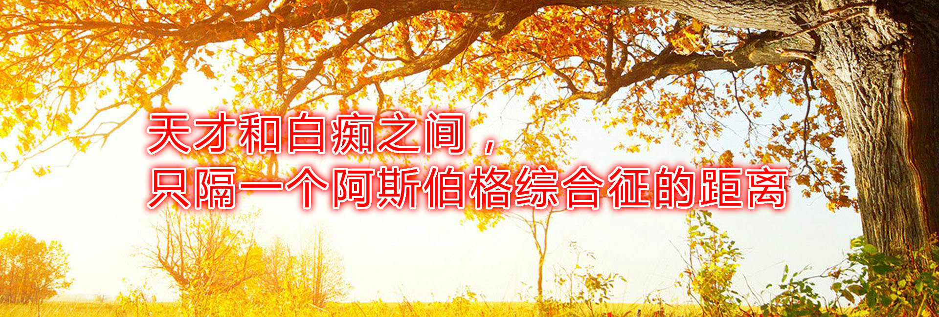 天才和白癡之間，只隔一個(gè)阿斯伯格綜合征的距離