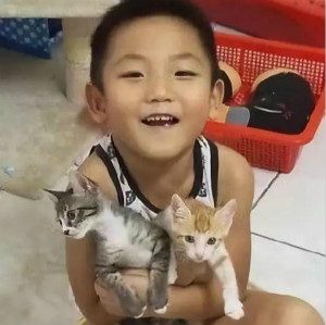 自閉癥治愈系動物：2只喵星人教“星星的孩子”學(xué)道歉