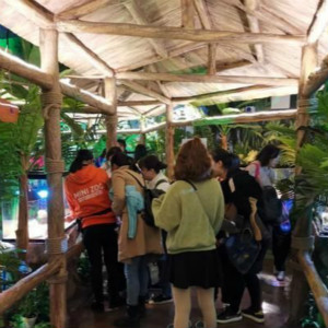 南昌自閉癥兒童走進(jìn)Minizoo室內(nèi)萌寵樂(lè)園 南昌自閉癥兒童走進(jìn)Minizoo室內(nèi)萌寵樂(lè)園