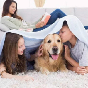 自閉癥治療犬真的有效嗎？