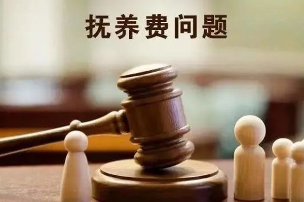 湖州自閉癥兒童的父親拒付撫養(yǎng)費(fèi)，法院成功調(diào)解