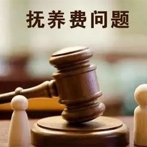 湖州自閉癥兒童的父親拒付撫養(yǎng)費(fèi)，法院成功調(diào)解