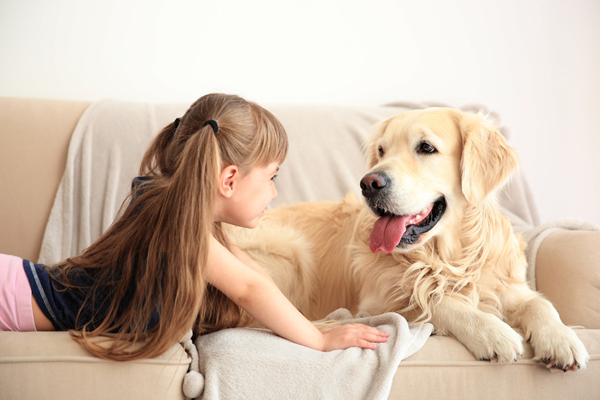 自閉癥治療犬品種有哪些？