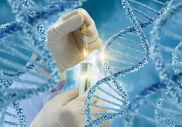自閉癥可以通過基因檢查出來嗎？