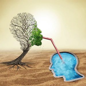 自閉癥兒童認知訓練的主要形式