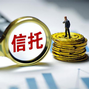 美國自閉癥患者的經(jīng)濟(jì)保障：特殊需要信托