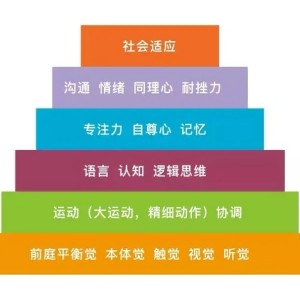 自閉癥兒童感覺統(tǒng)合理論的基礎：豐富環(huán)境刺激理論