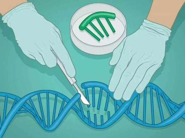 改造受損基因能治療自閉癥嗎？