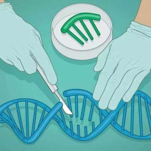 改造受損基因能治療自閉癥嗎？
