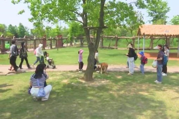 自閉癥親子家庭走進(jìn)南通森林動物園