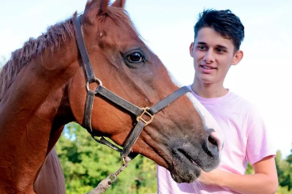 英國18歲自閉癥男孩與賽馬成為朋友