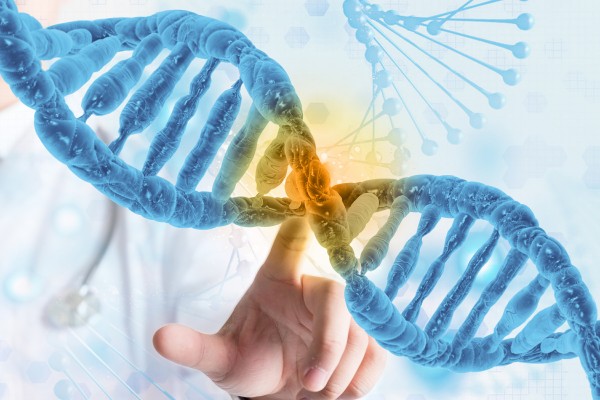 通過(guò)連鎖分析甄別孤獨(dú)癥易感基因（一）