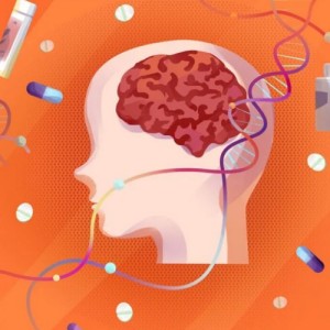經(jīng)顱磁刺激療法在自閉癥治療干預方面的應(yīng)用