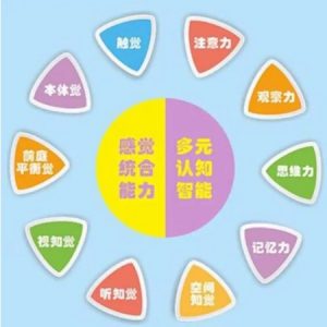 自閉癥兒童有哪些感覺(jué)統(tǒng)合失調(diào)的表現(xiàn)（三）