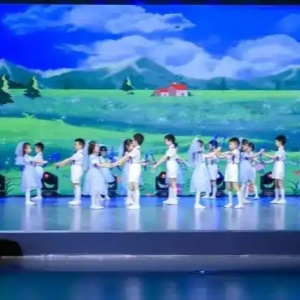 北京市孤獨(dú)癥兒童文藝展演溫情上演